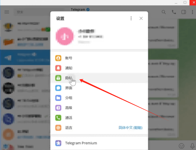 纸飞机电脑端打开隐私